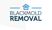 BlackMoldRemoval.com